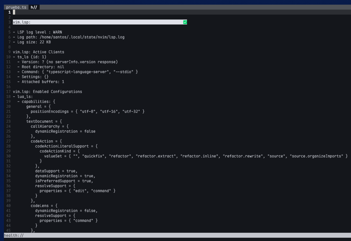 Comprobación del funcionamiento de los LSP con :checkhealth
